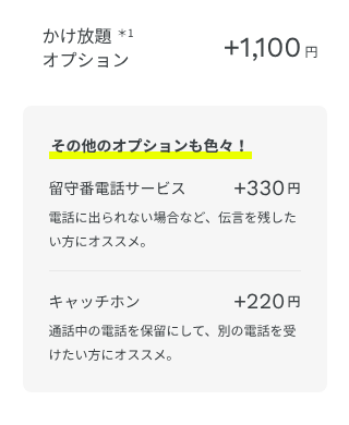 ahamo公式サイトのオプション料金。かけ放題オプション+1,100円、留守番電話サービス+330円、キャッチホン+220円