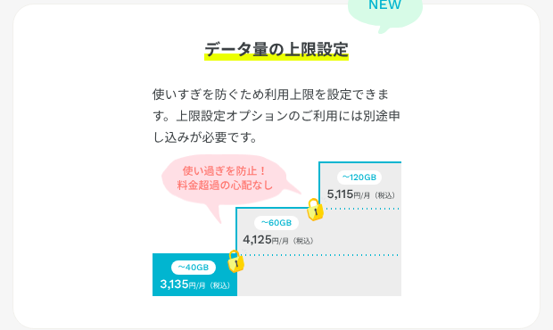 ahamo公式サイトの「データ量の上限設定」。40GB 3,135円、60GB 4,125円、120GB 5,115円の段階ごとに上限をかけられる図